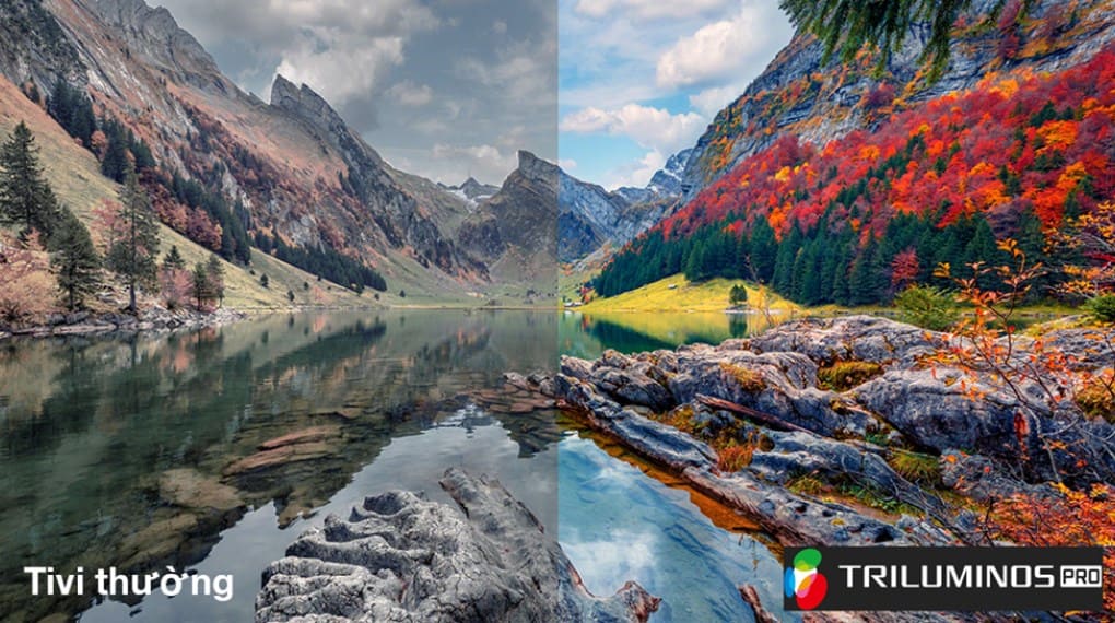 Google Tivi Sony 4K 65 Inch K-65S30